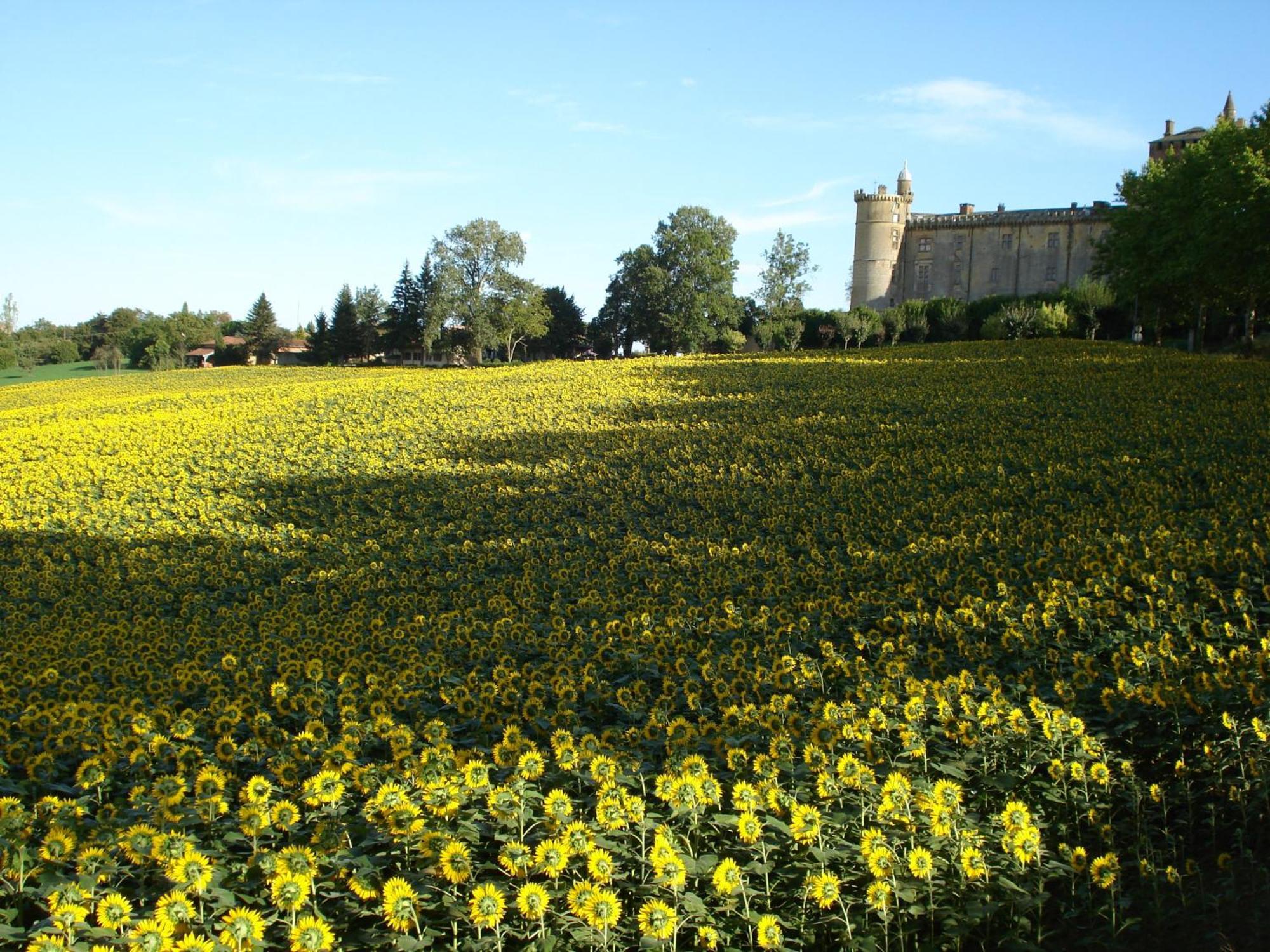 Hotel Relais Du Chateau Saint-Blancard Zewnętrze zdjęcie
